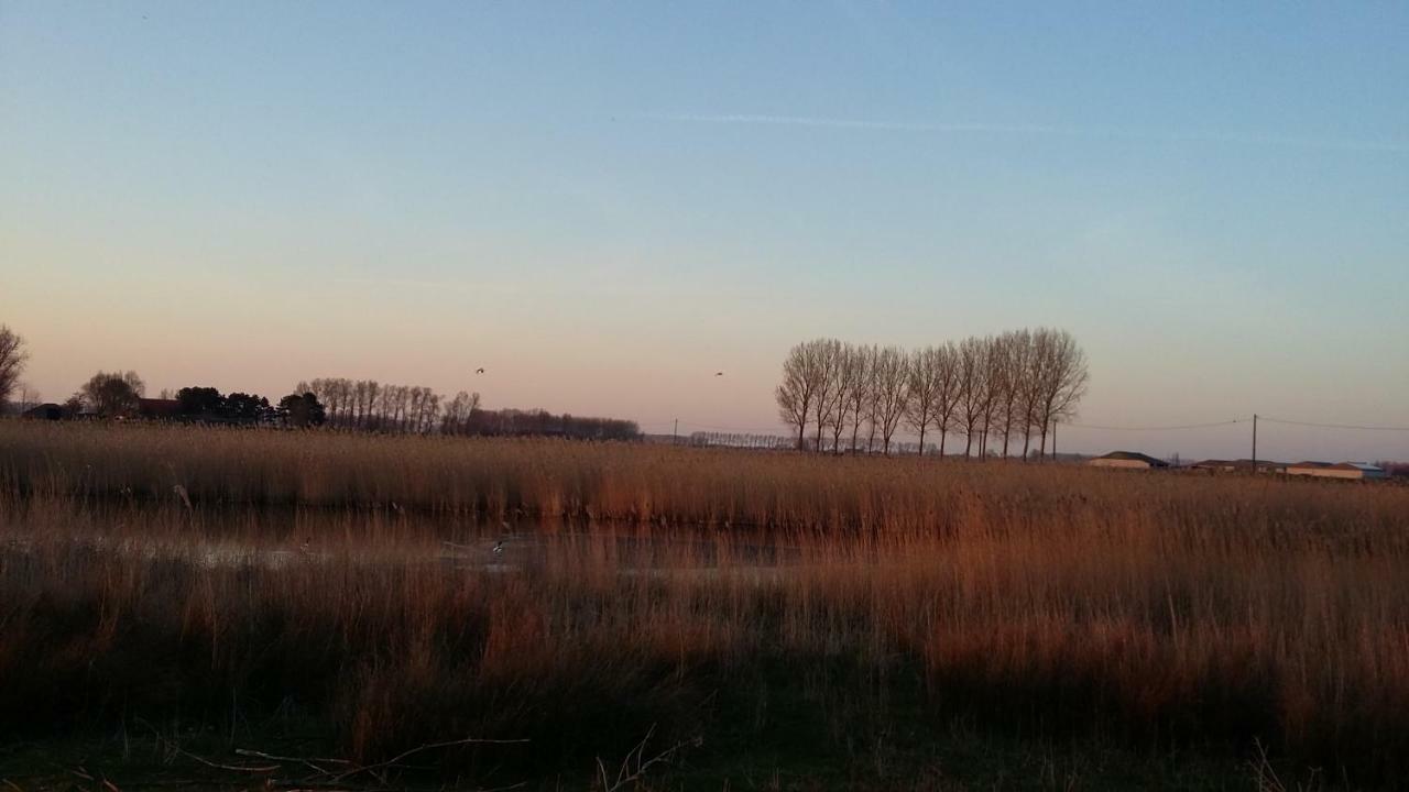 Вилла De Molenkreek Sint-Margriete Экстерьер фото