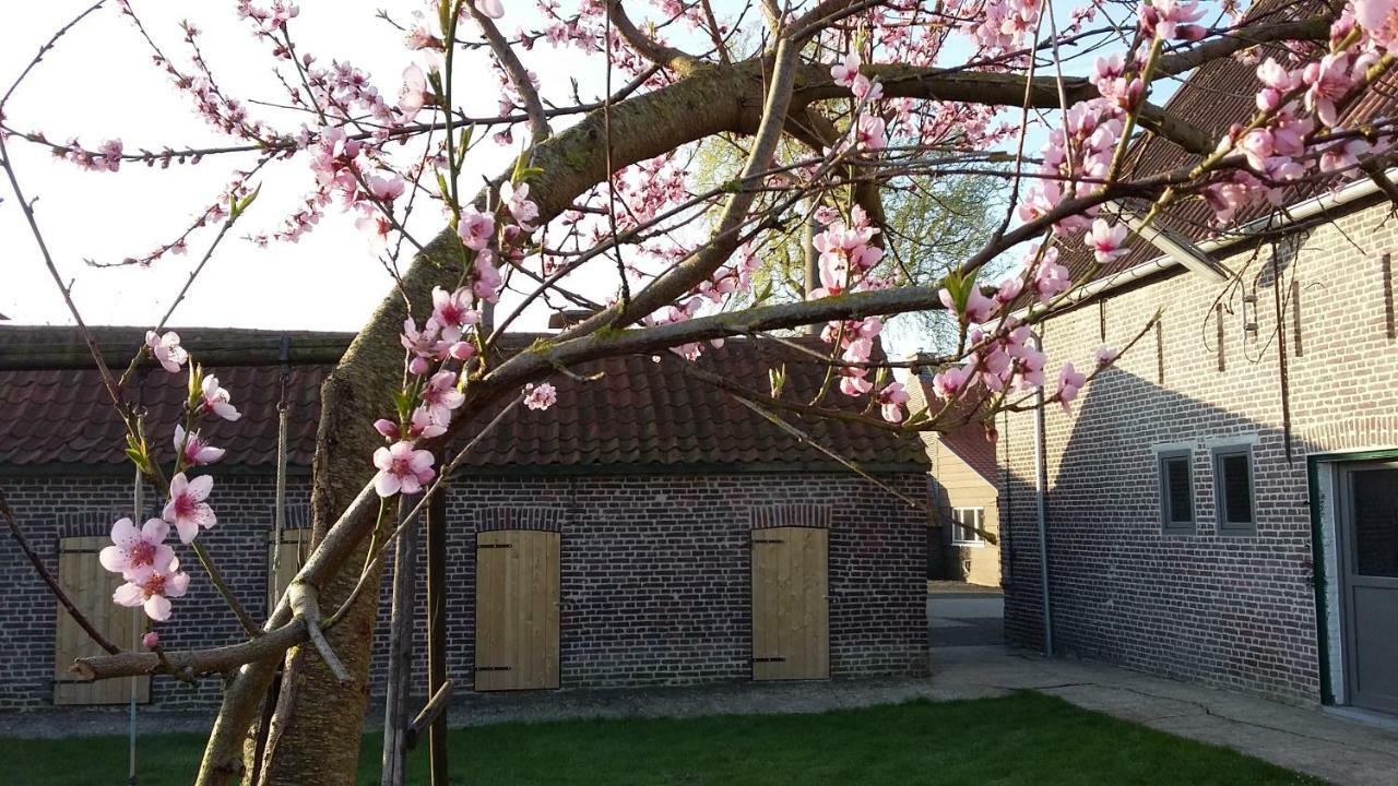 Вилла De Molenkreek Sint-Margriete Экстерьер фото